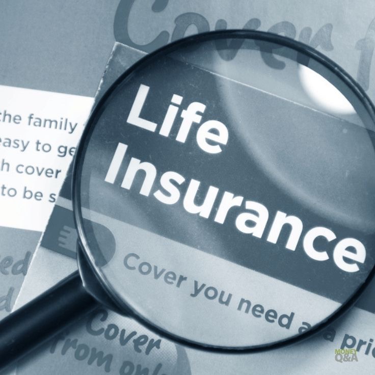 insurance_img